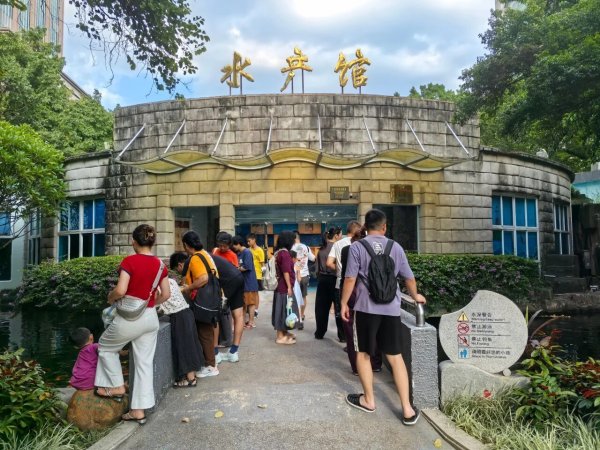 配资公司100强 唤醒老广的童年记忆，广州文化公园水产馆焕新开放